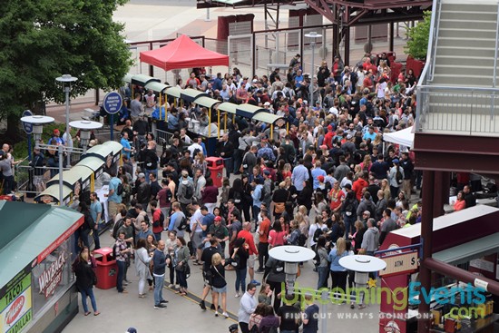 Photo from All Star Craft Beer & Wine Festival - Gallery 3