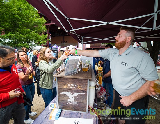 Photo from All Star Craft Beer & Wine Festival - Gallery 6