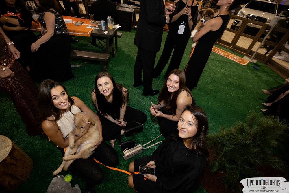 Photo from Black Tie Tailgate 2020 (General Event Shots)