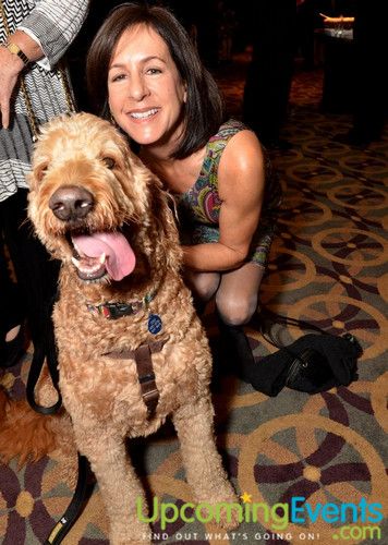 Photo from Good Dog Gala