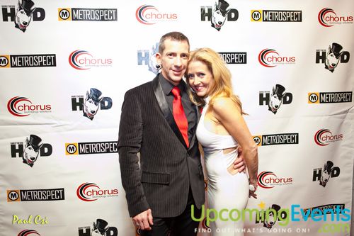 Photo from Hair O' The Dog (Gallery B)