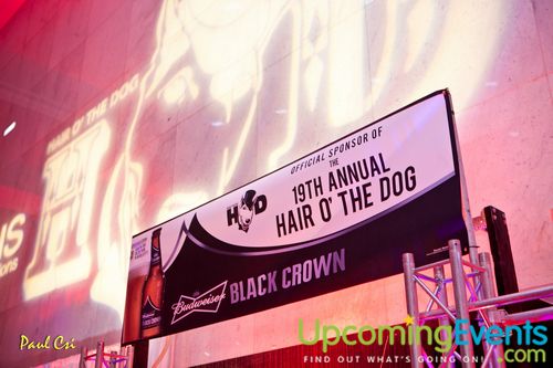 Photo from Hair O' The Dog (Gallery B)