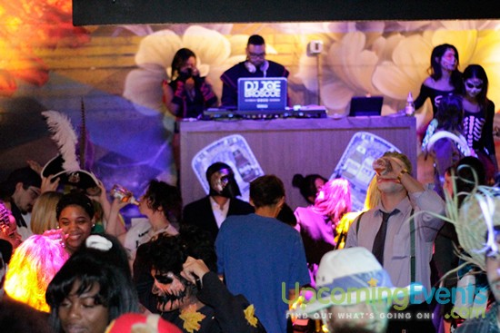 Photo from Day of the Dead at SPiN