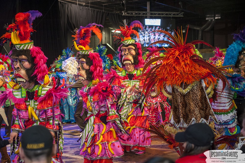 Photo from Mummers Mardi Gras Festival (Candid Gallery 1)