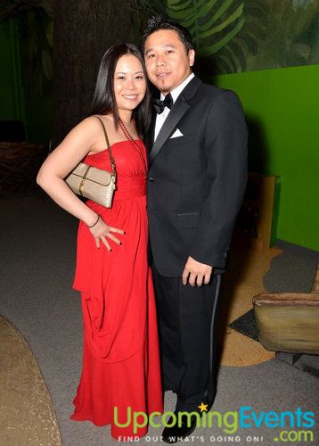 Photo from Red Ball 2012 Gallery 1