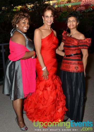 Photo from Red Ball 2012 Gallery 1