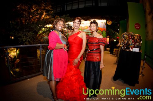 Photo from REd Ball 2012 Gallery 2