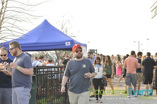 Photo from Springfest Live! Craft Beer Fest (Gallery A)