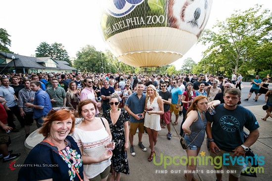 Photo from Summer Ale Festival at The Zoo!